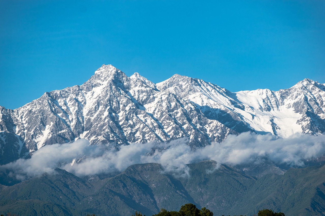 Top 15 Best 1Xbet India Download in 2026: Tested & Ranked